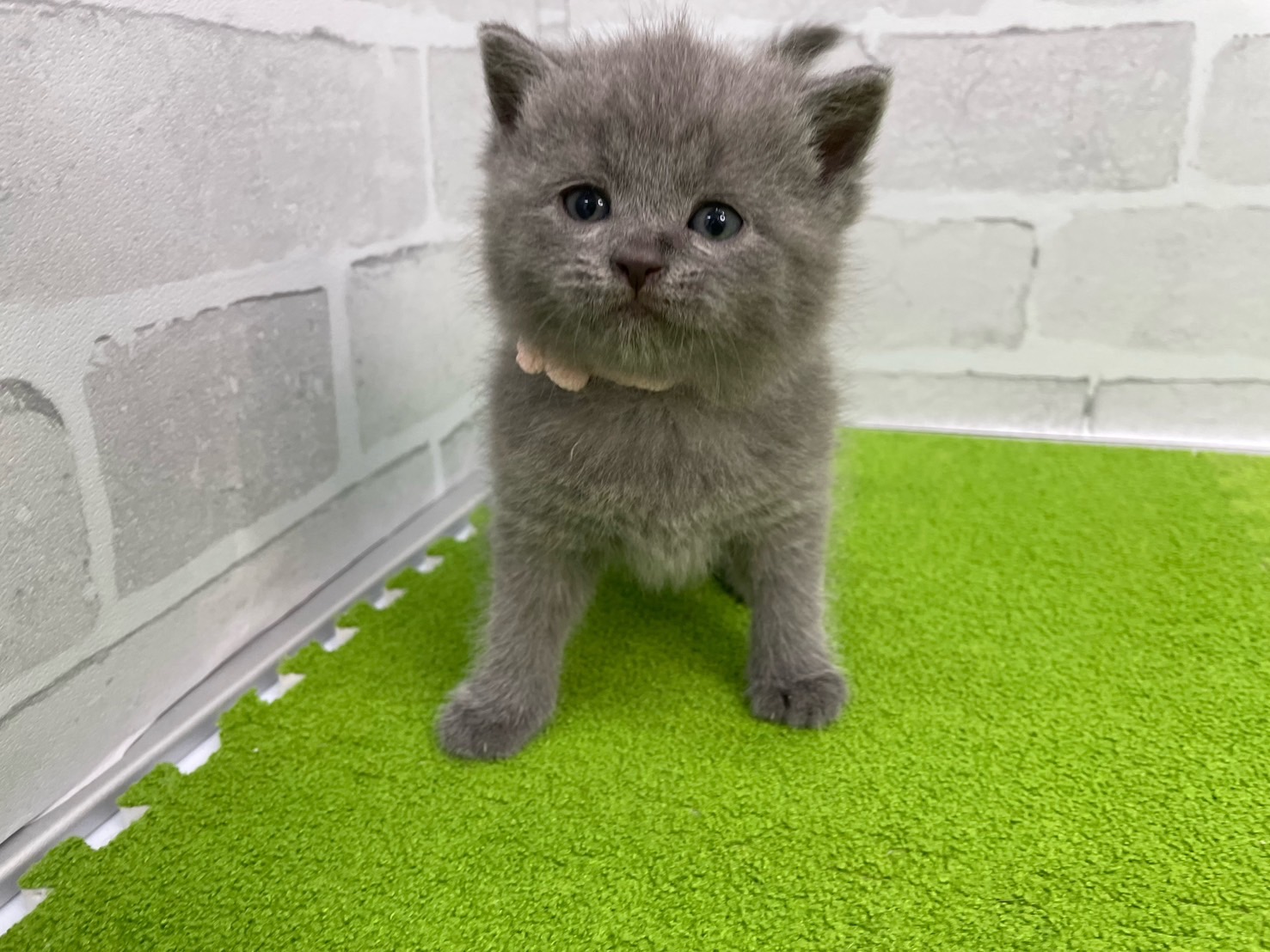 赤ちゃん写真2-1