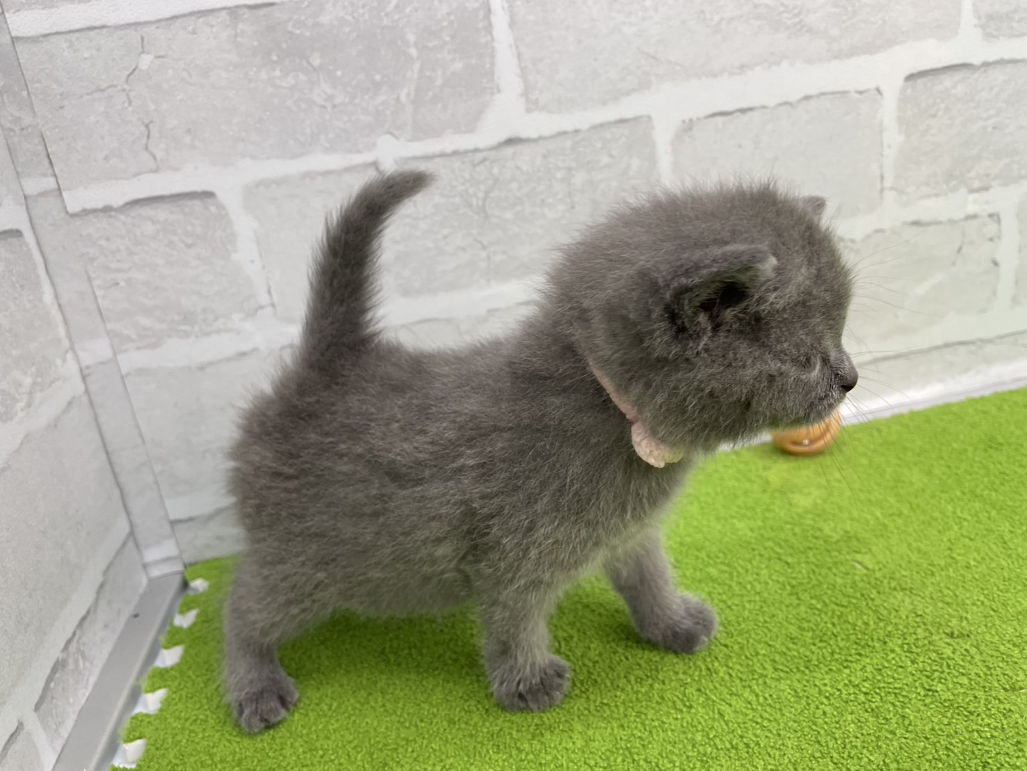 赤ちゃん写真2-2