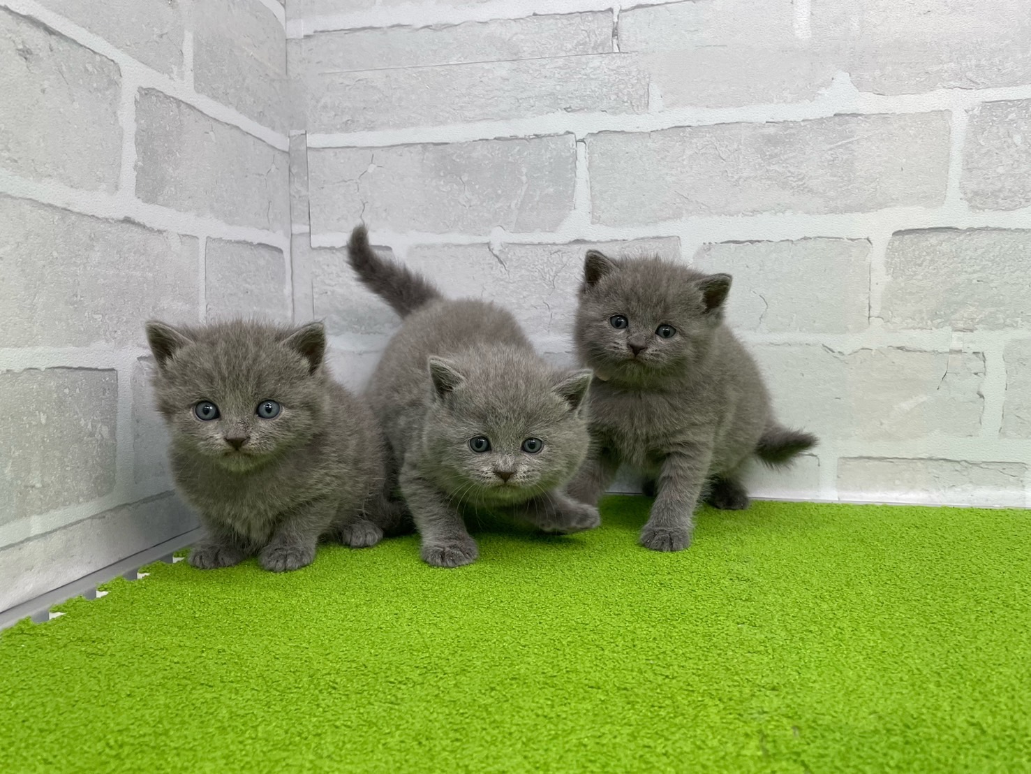 赤ちゃん写真2-3