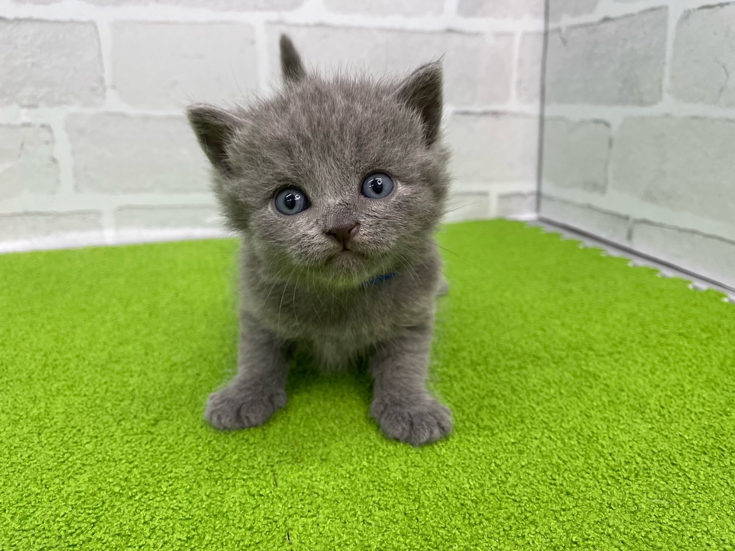 赤ちゃん写真2-1