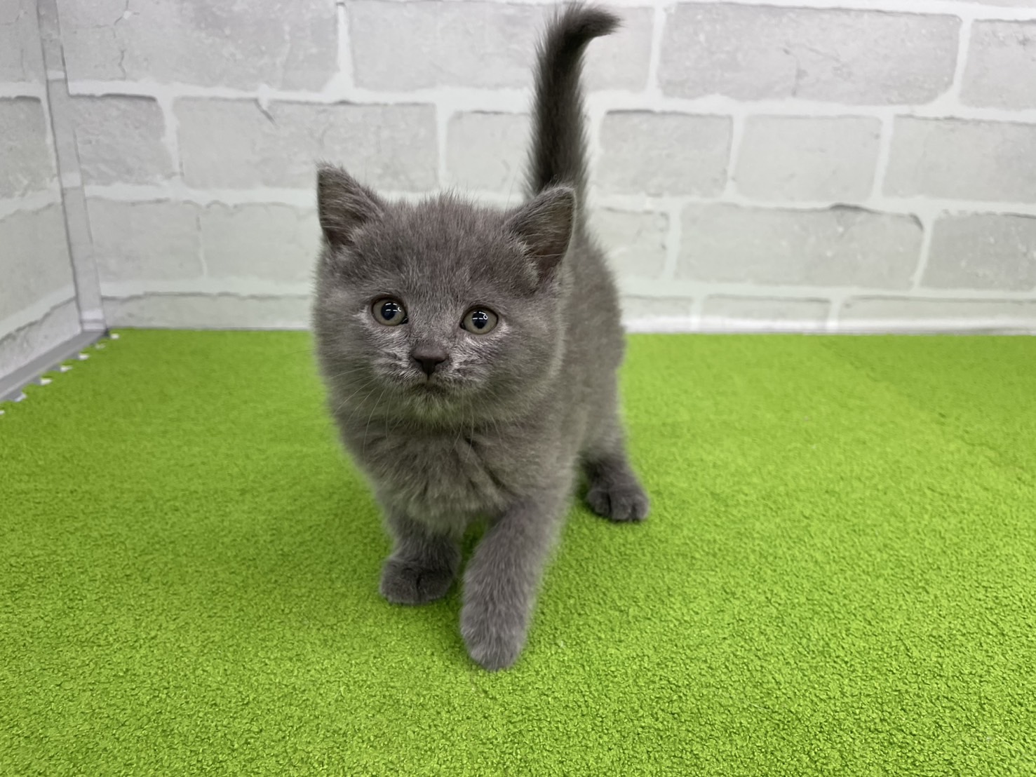 赤ちゃん写真3-1