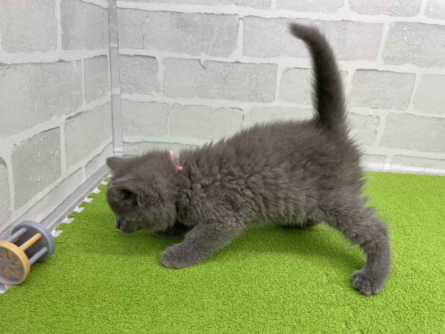 赤ちゃん写真3-2