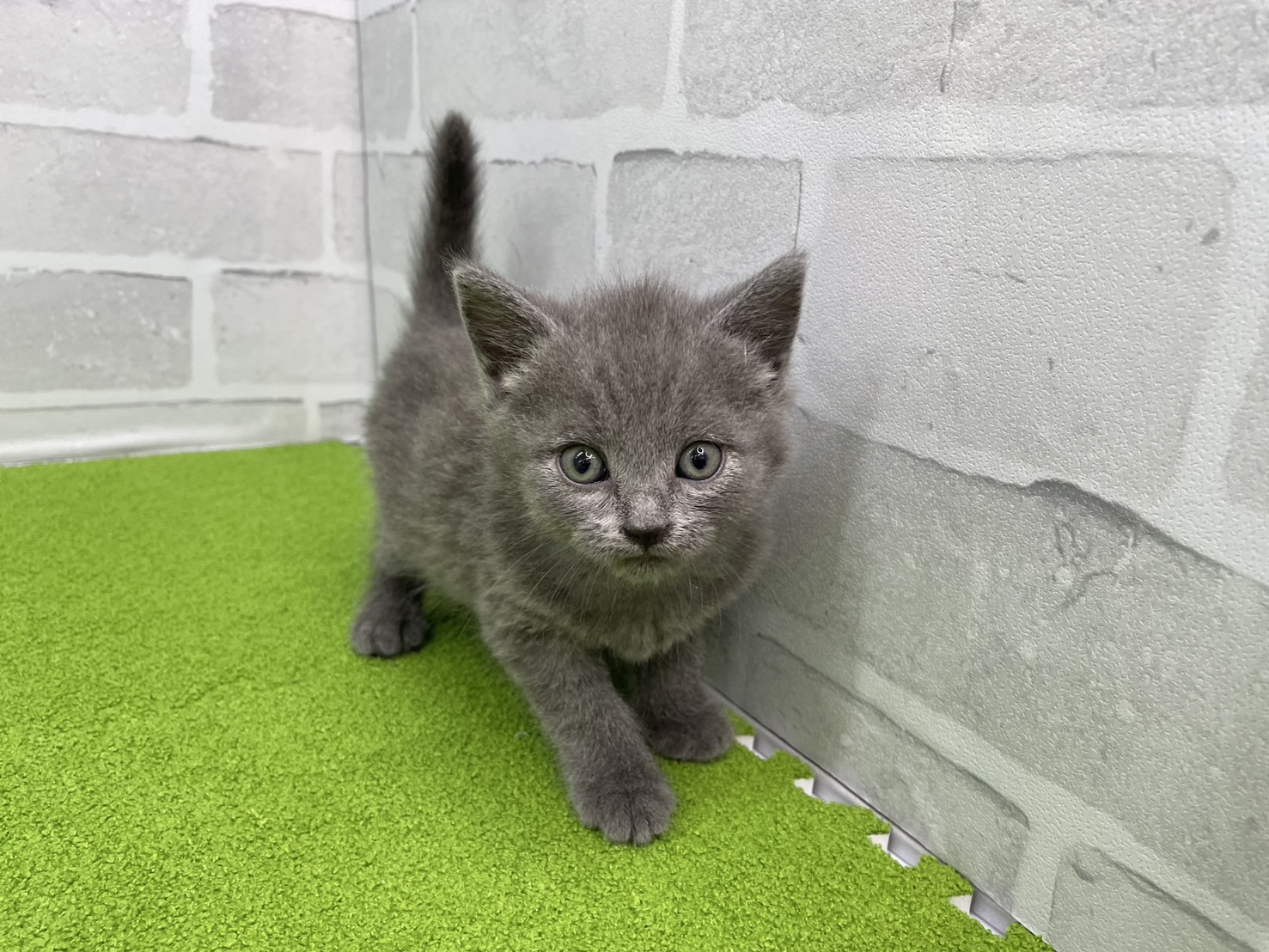 赤ちゃん写真3-1