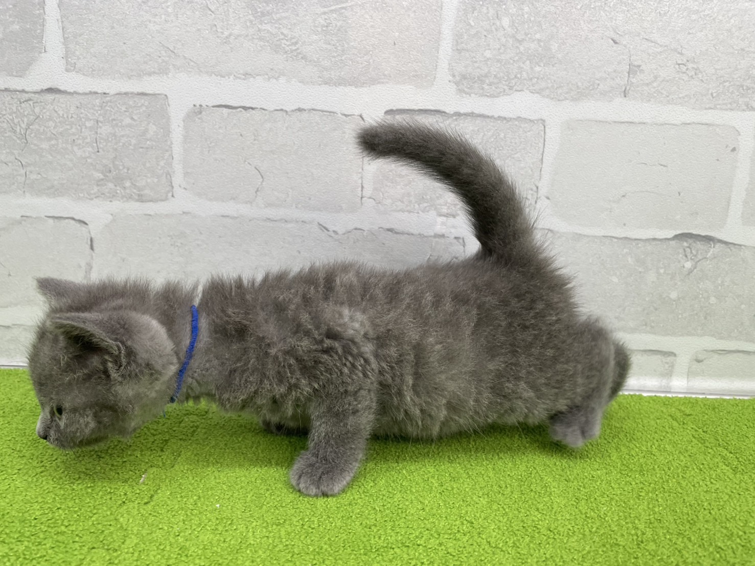 赤ちゃん写真3-2