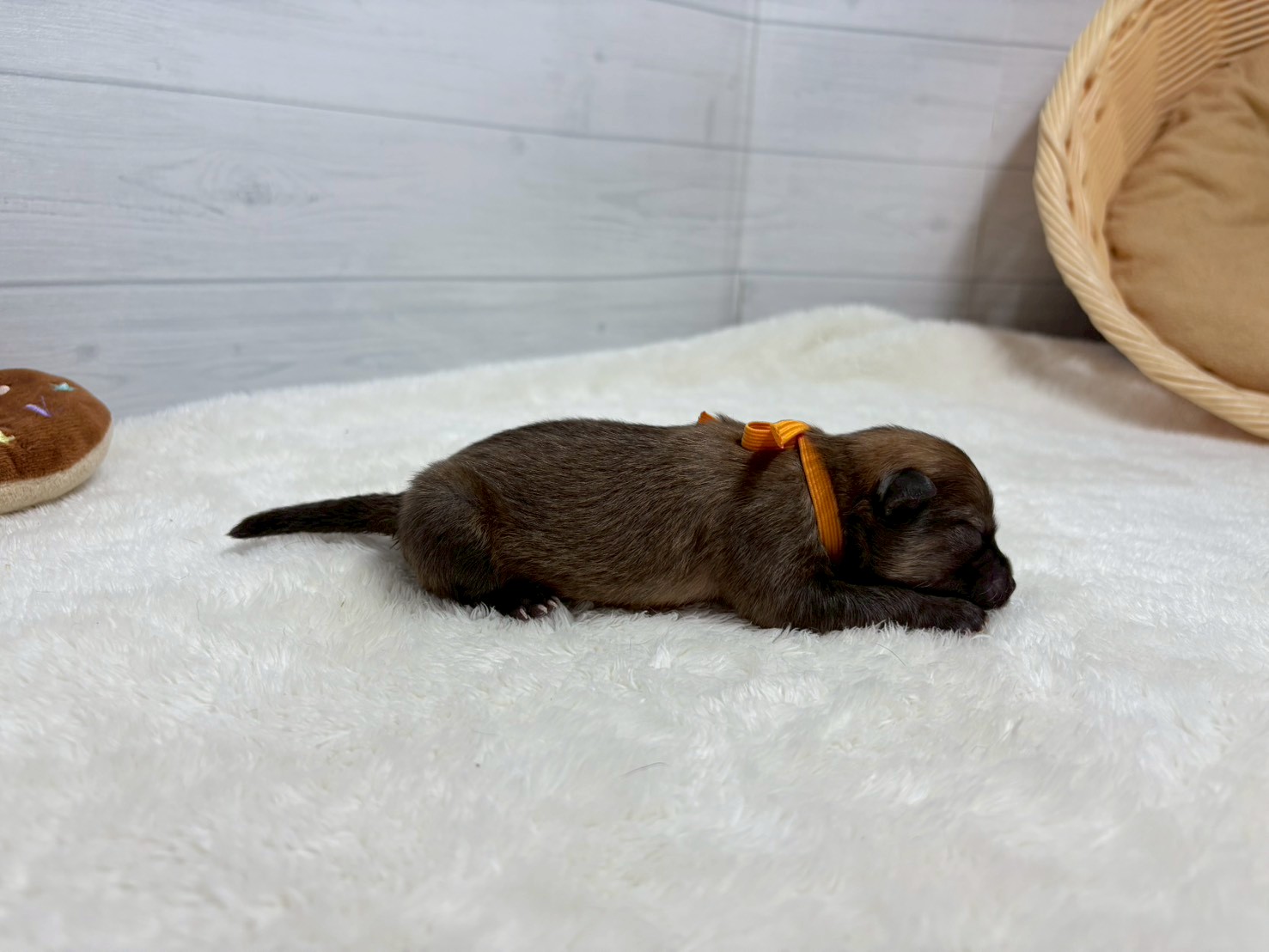 赤ちゃん写真1-2