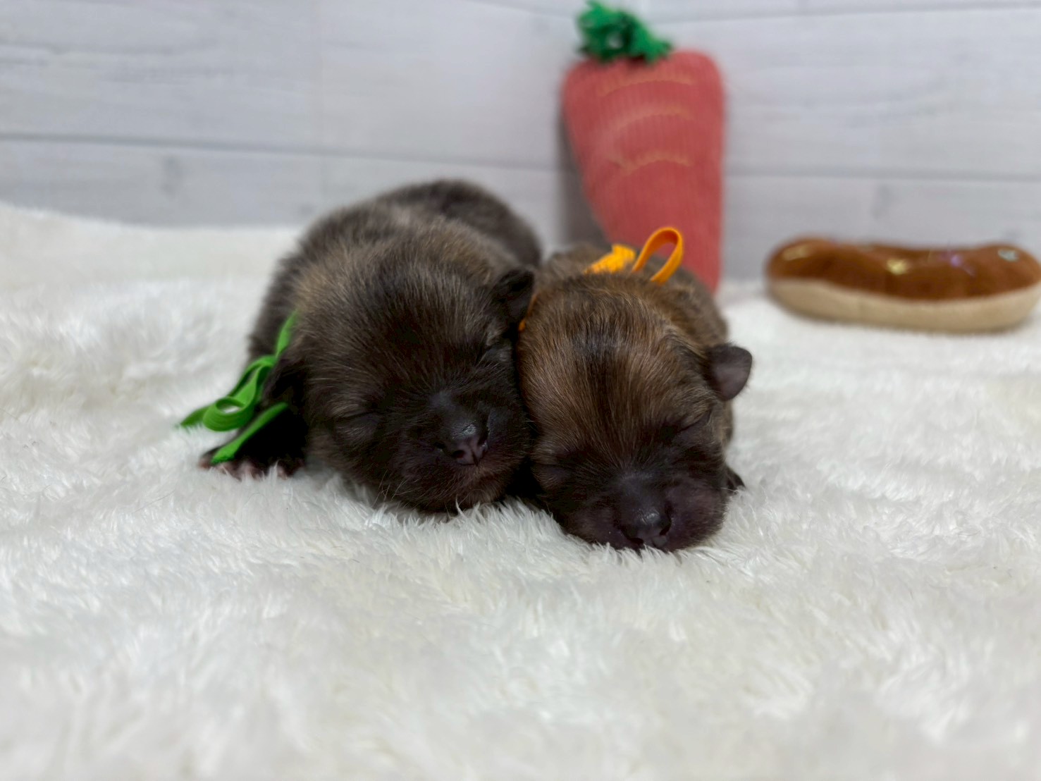 赤ちゃん写真1-3