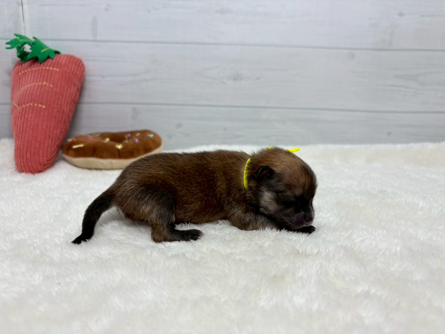 赤ちゃん写真1-2