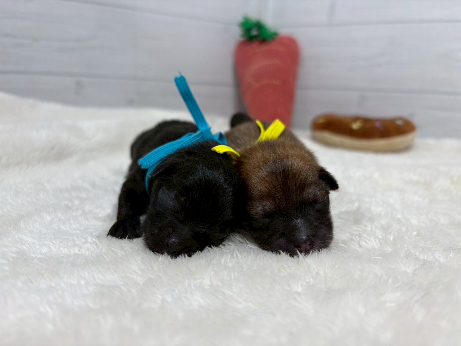 赤ちゃん写真1-3