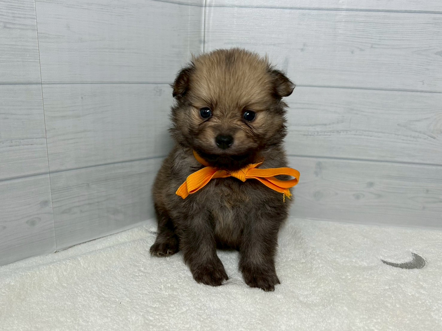 赤ちゃん写真2-1