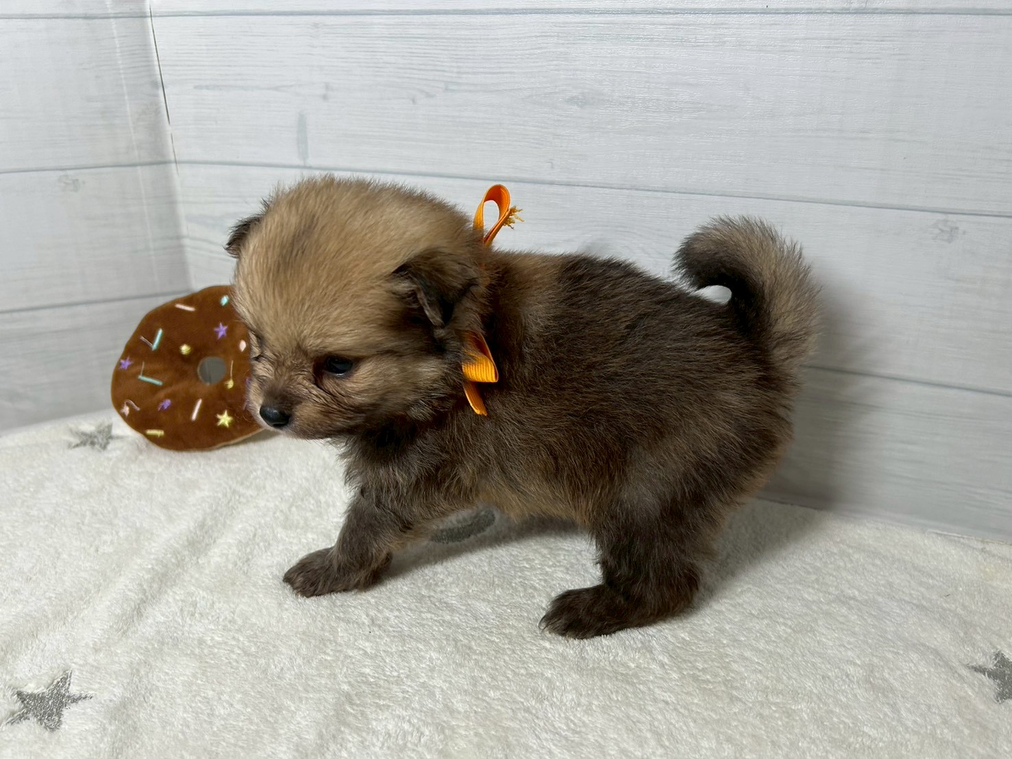 赤ちゃん写真2-2