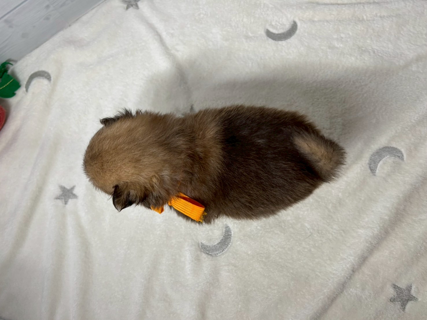 赤ちゃん写真2-3