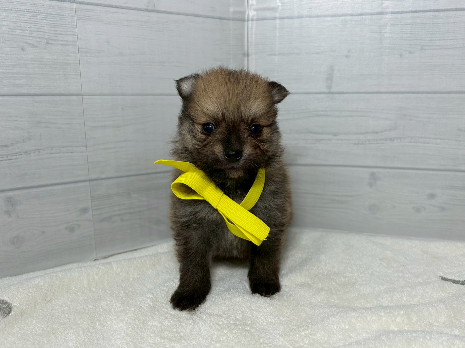 赤ちゃん写真2-1