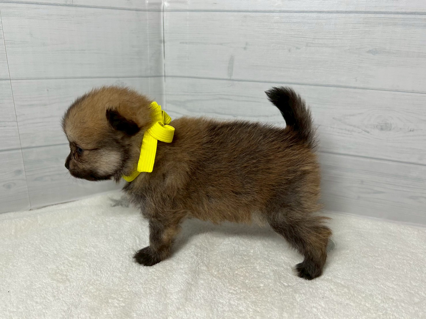 赤ちゃん写真2-2