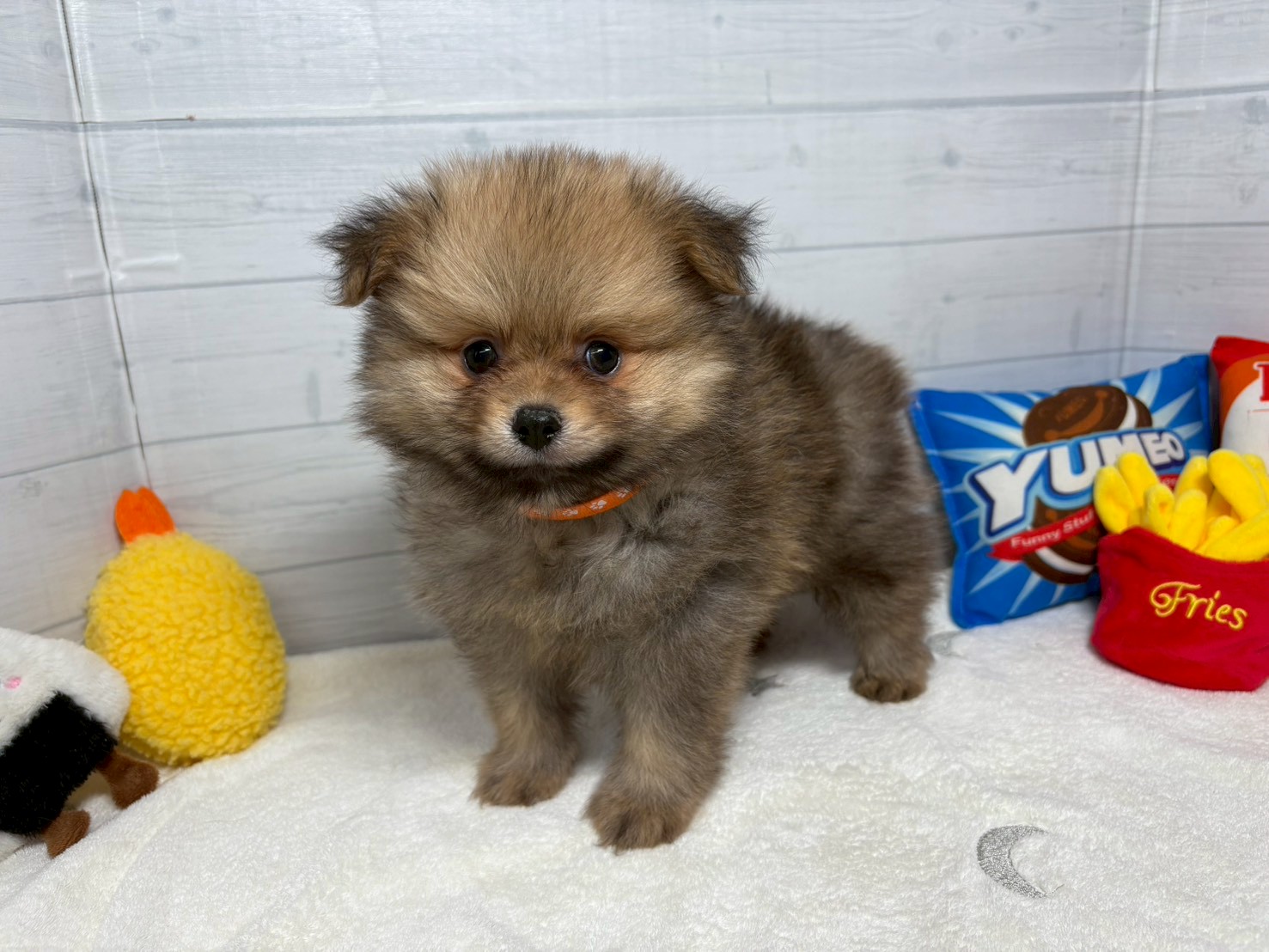 赤ちゃん写真3-1