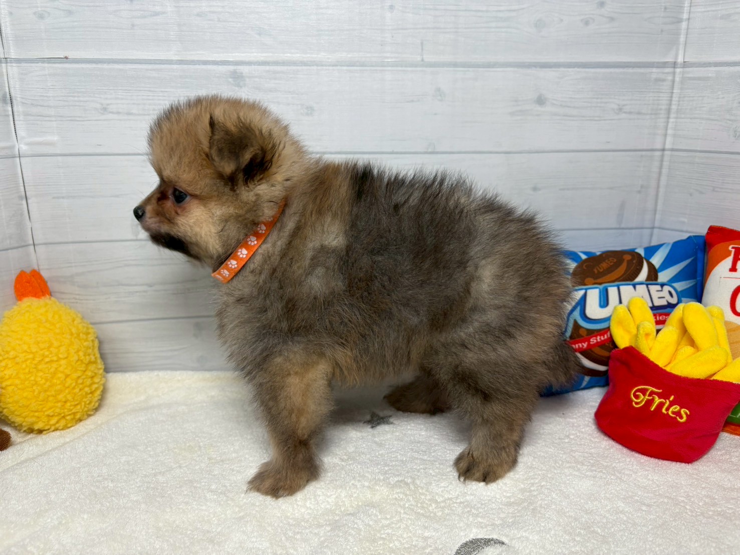 赤ちゃん写真3-2