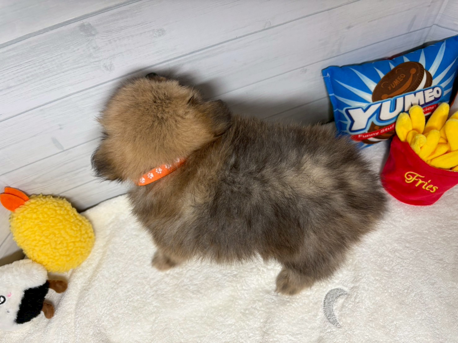 赤ちゃん写真3-3