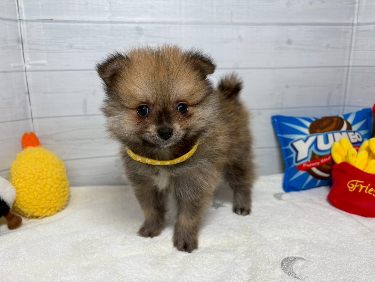 赤ちゃん写真3-1