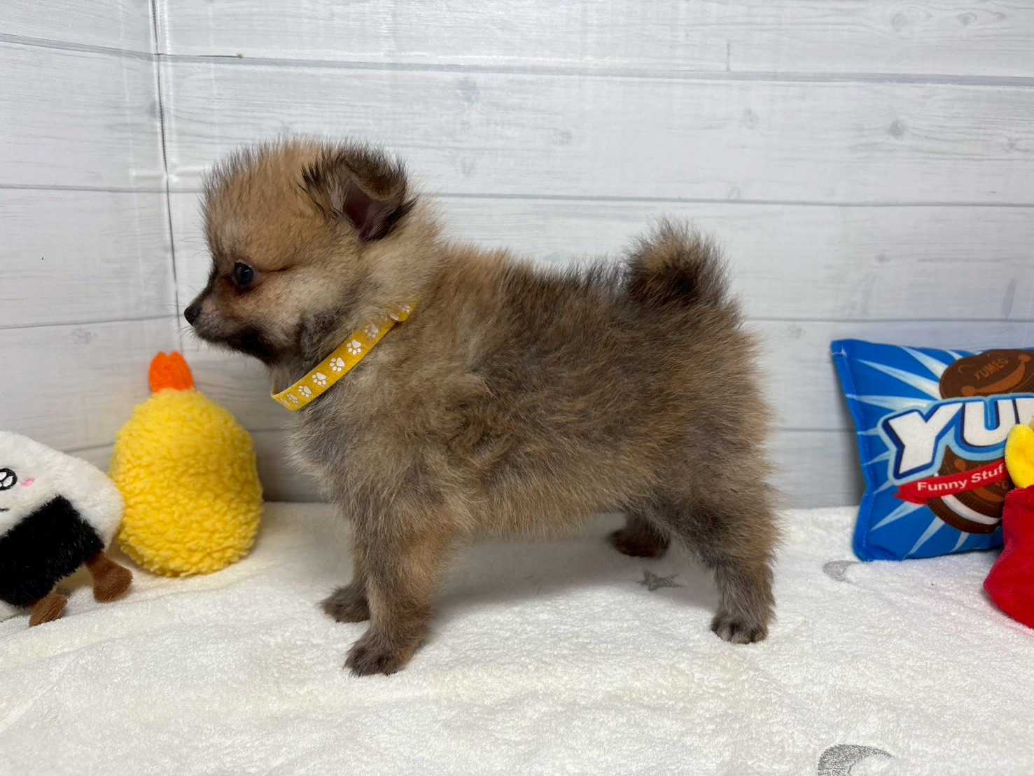 赤ちゃん写真3-2