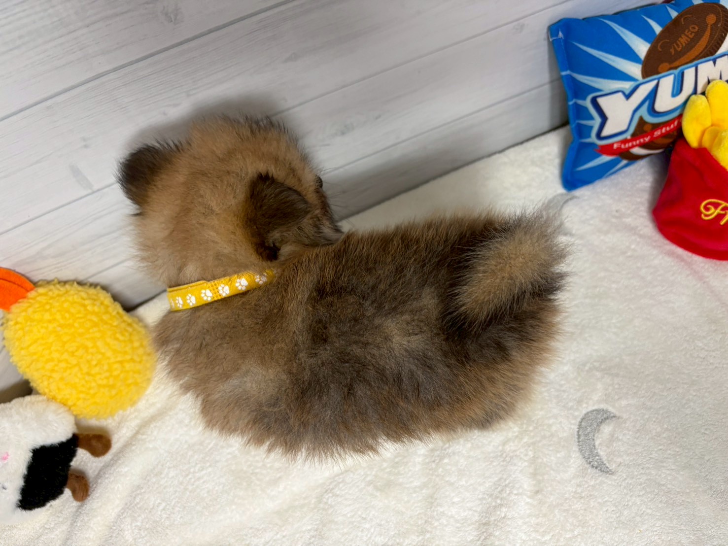 赤ちゃん写真3-3