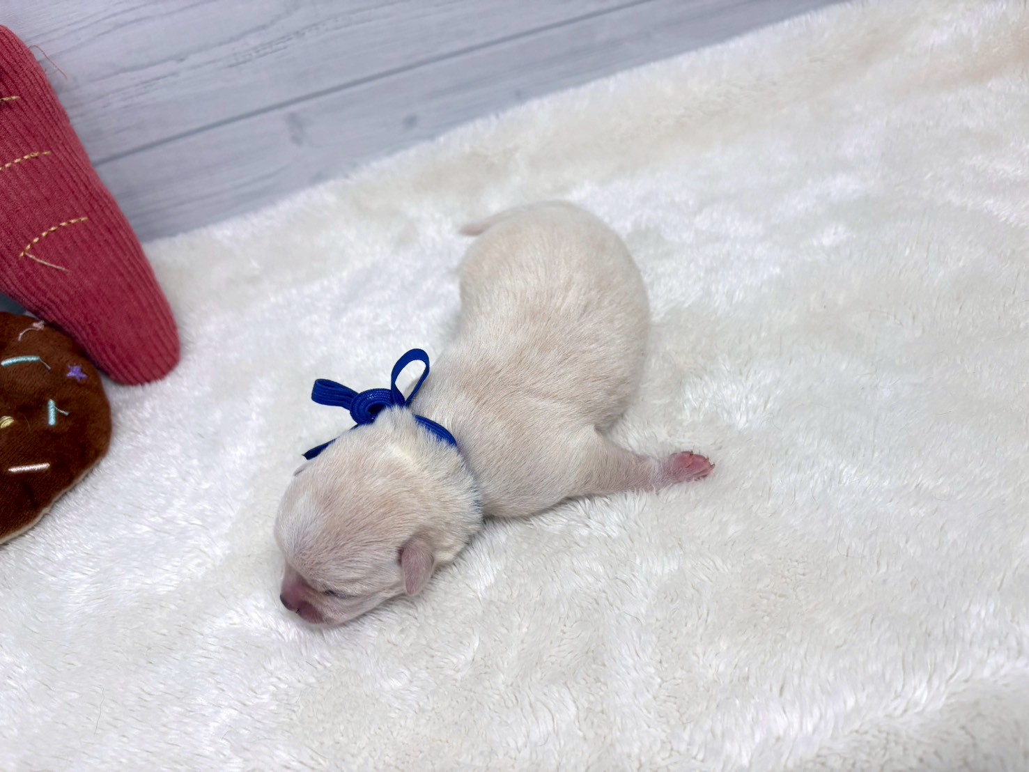 赤ちゃん写真1-3