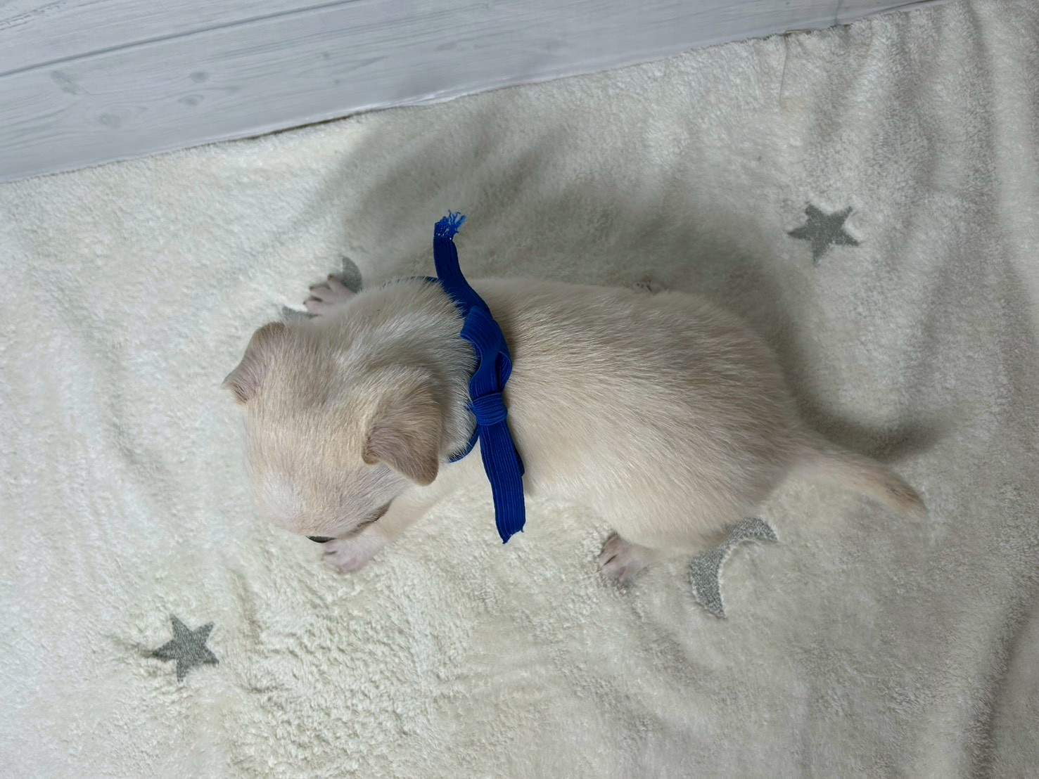 赤ちゃん写真2-3