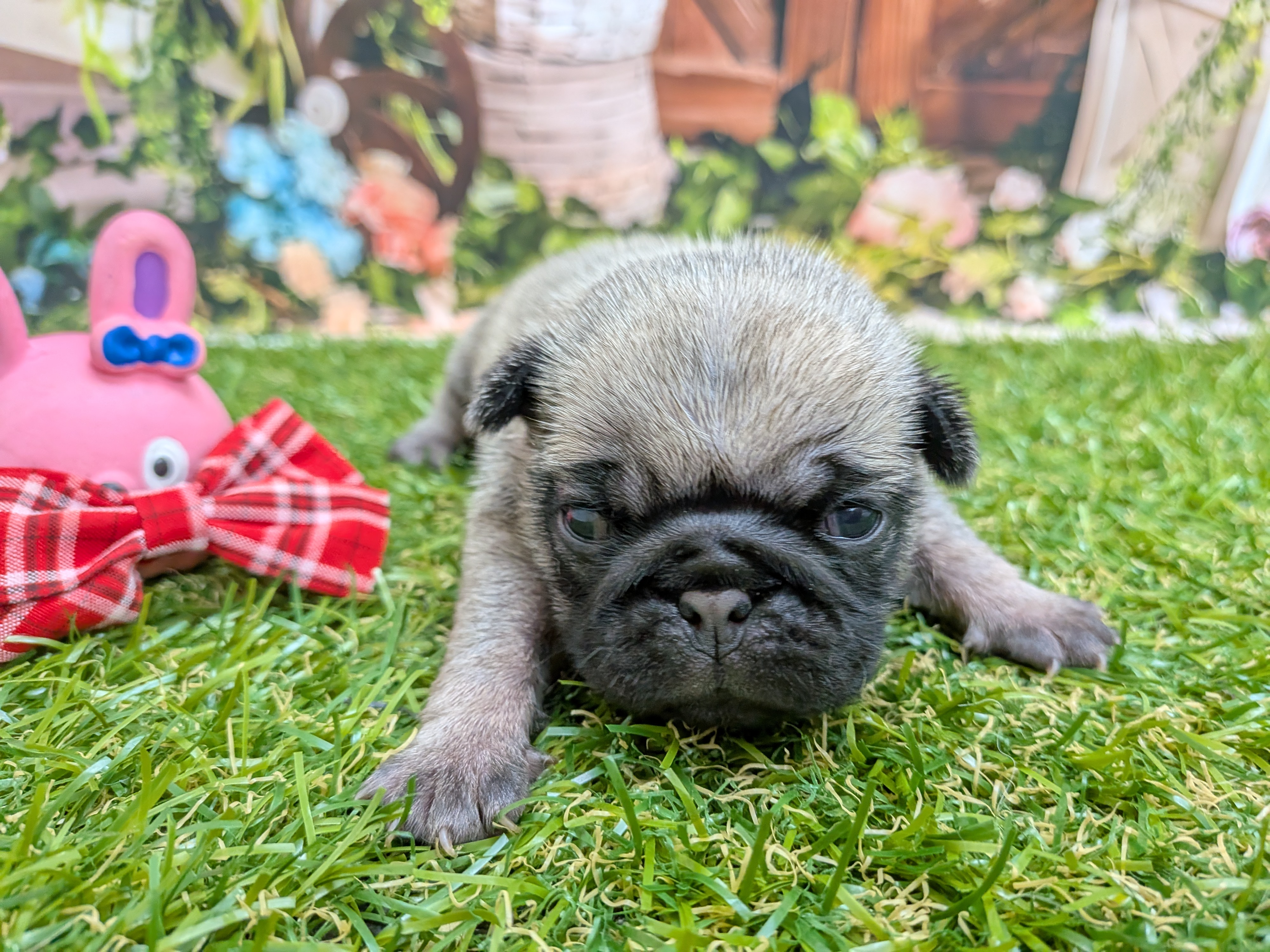 赤ちゃん写真1-1