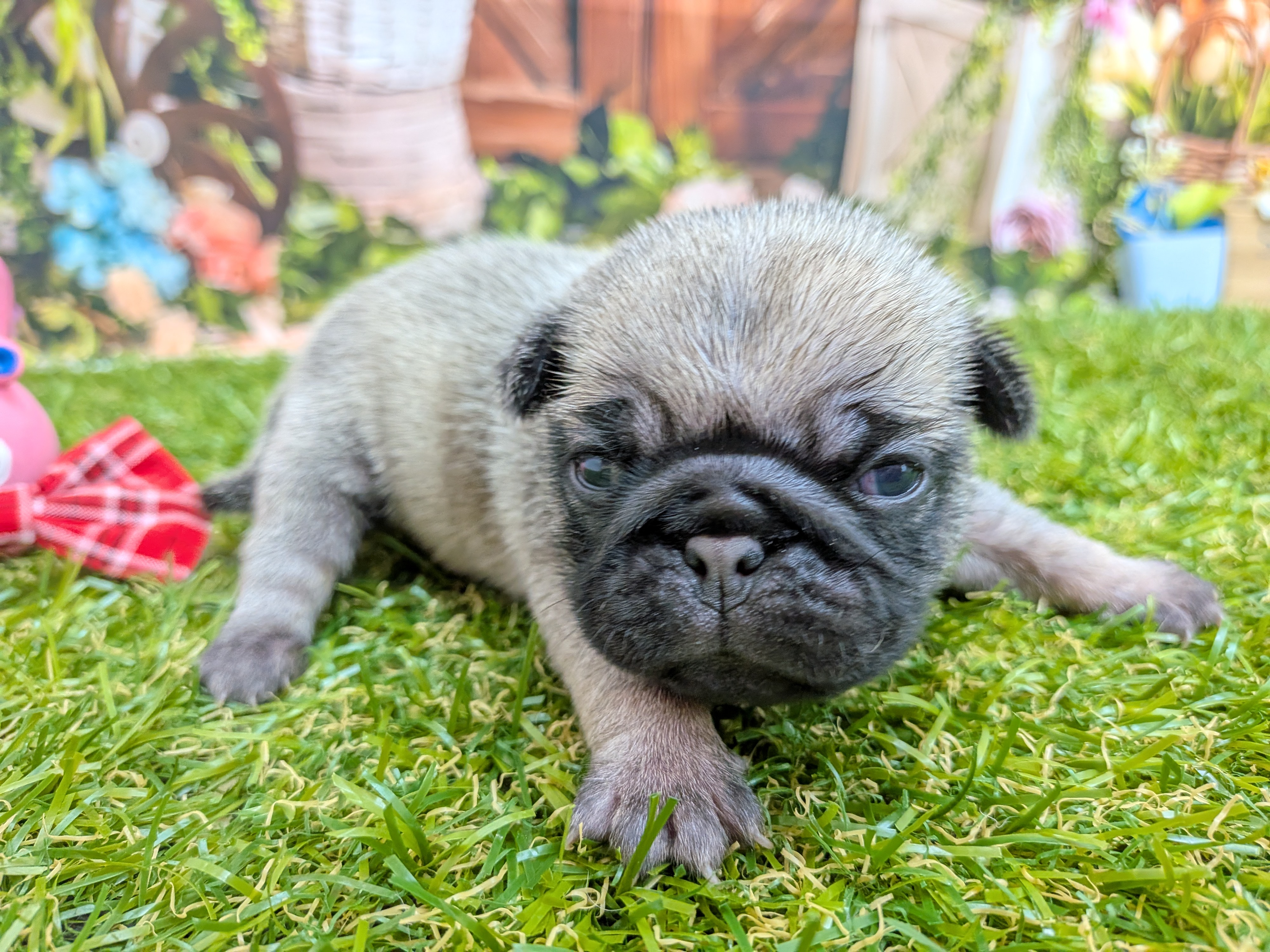 赤ちゃん写真1-2