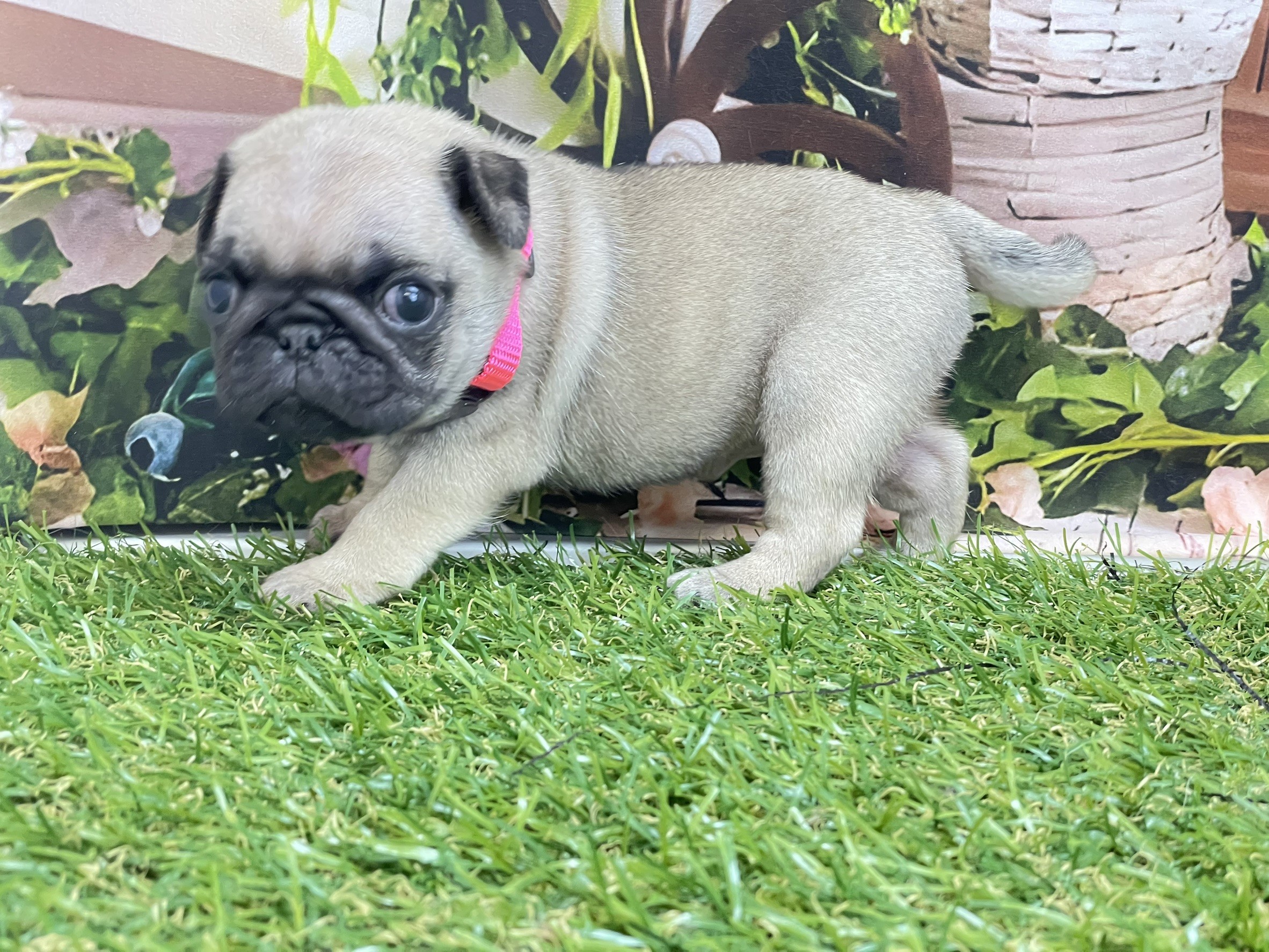 赤ちゃん写真2-2