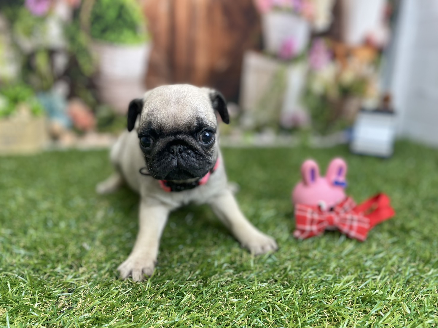 赤ちゃん写真3-1