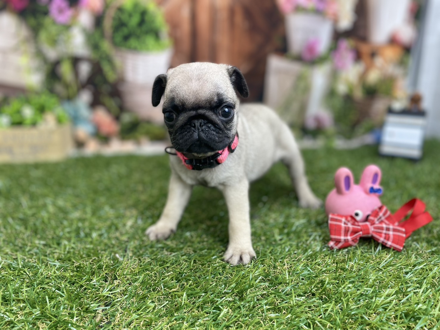 赤ちゃん写真3-2