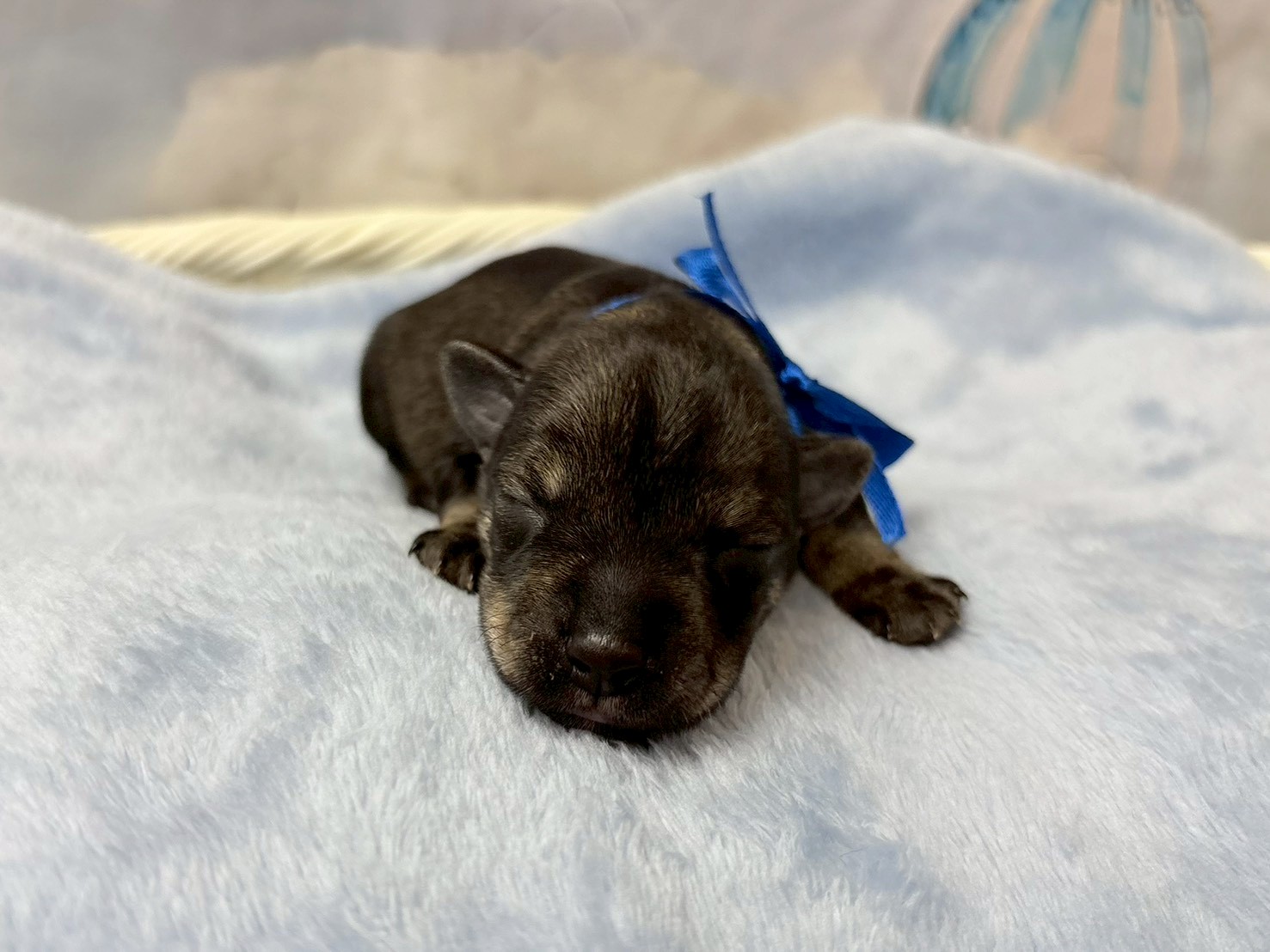 赤ちゃん写真1-1