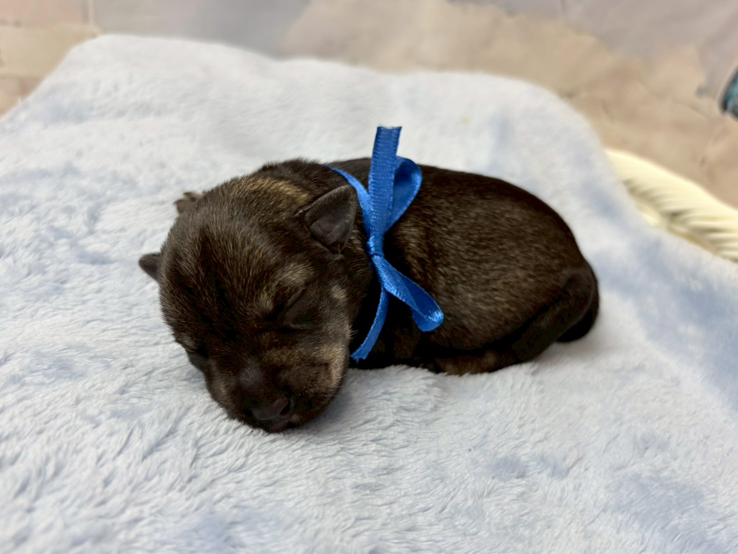 赤ちゃん写真1-2