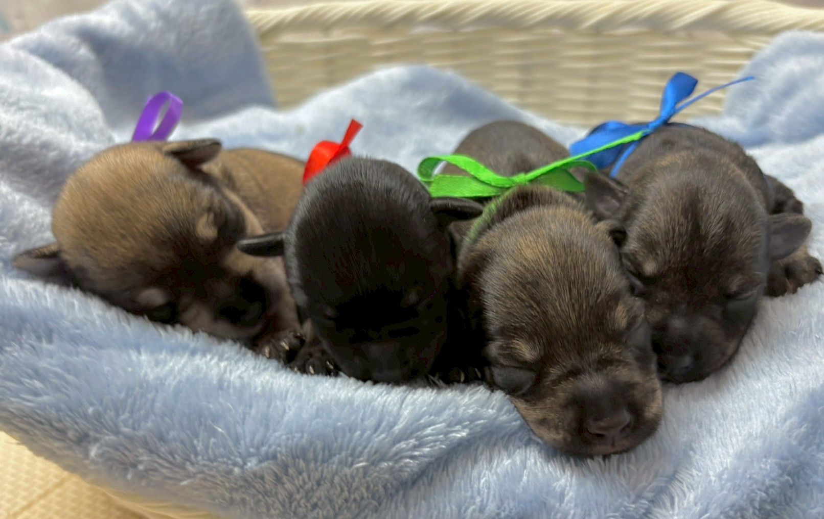 赤ちゃん写真1-3