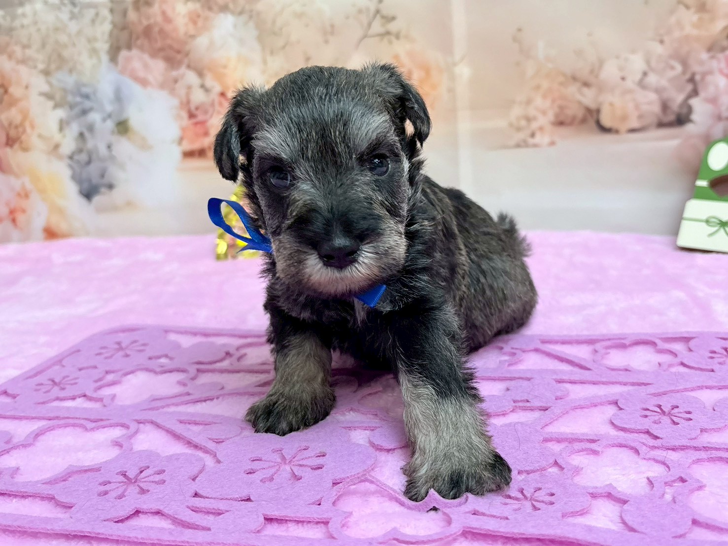 赤ちゃん写真2-1