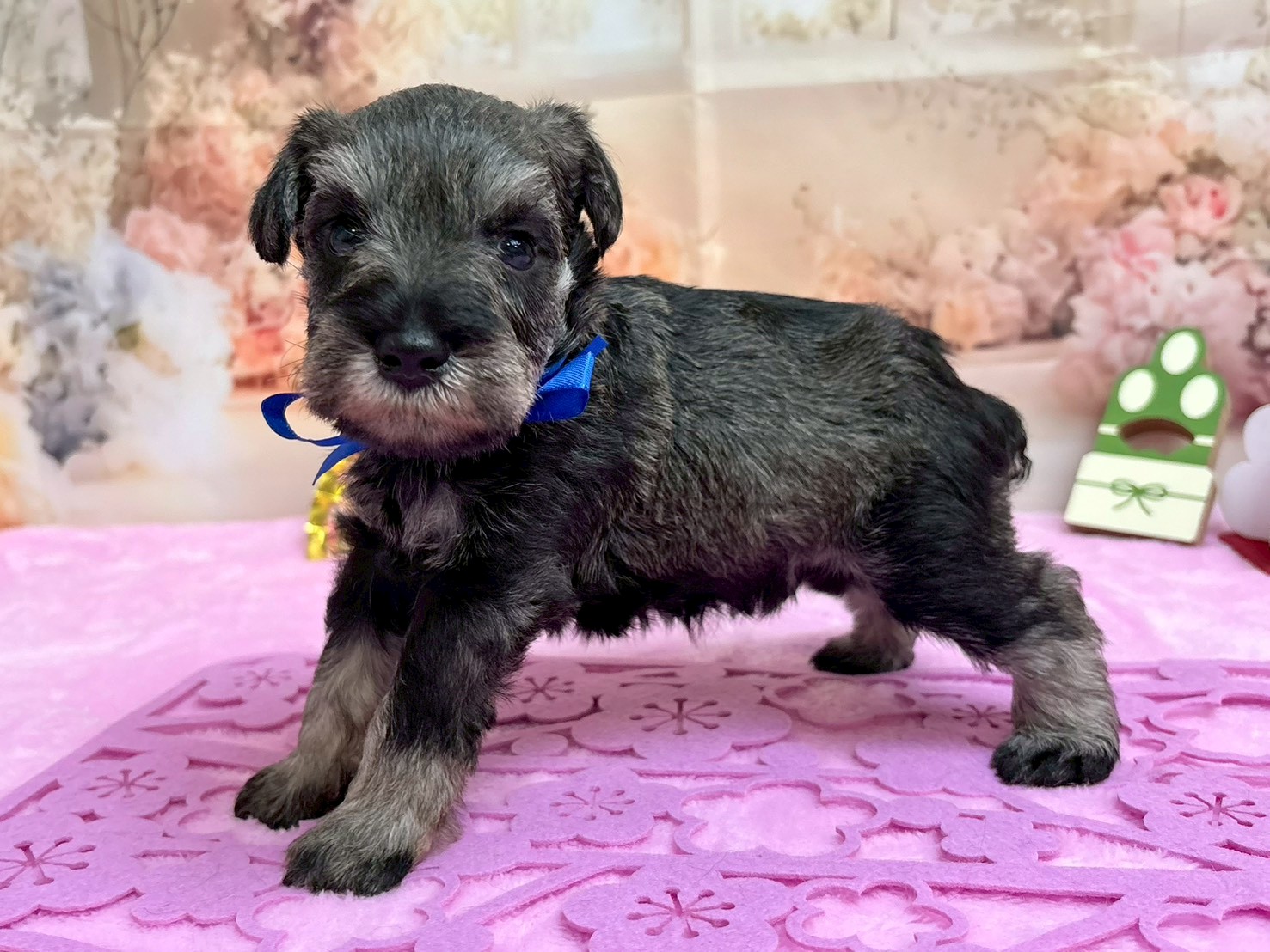 赤ちゃん写真2-2