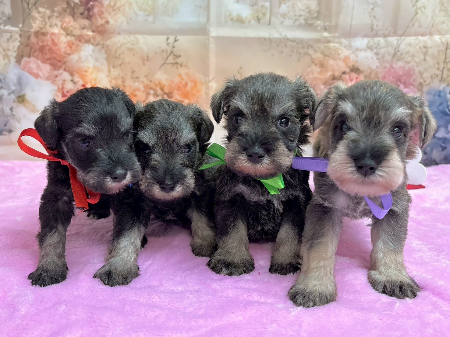 赤ちゃん写真2-3