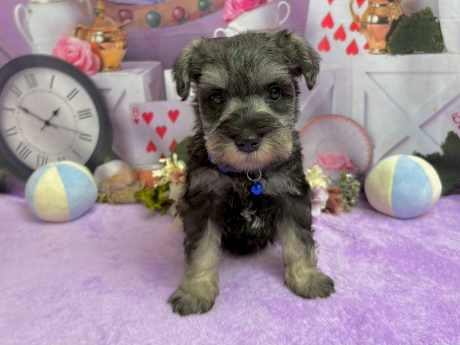 赤ちゃん写真3-1