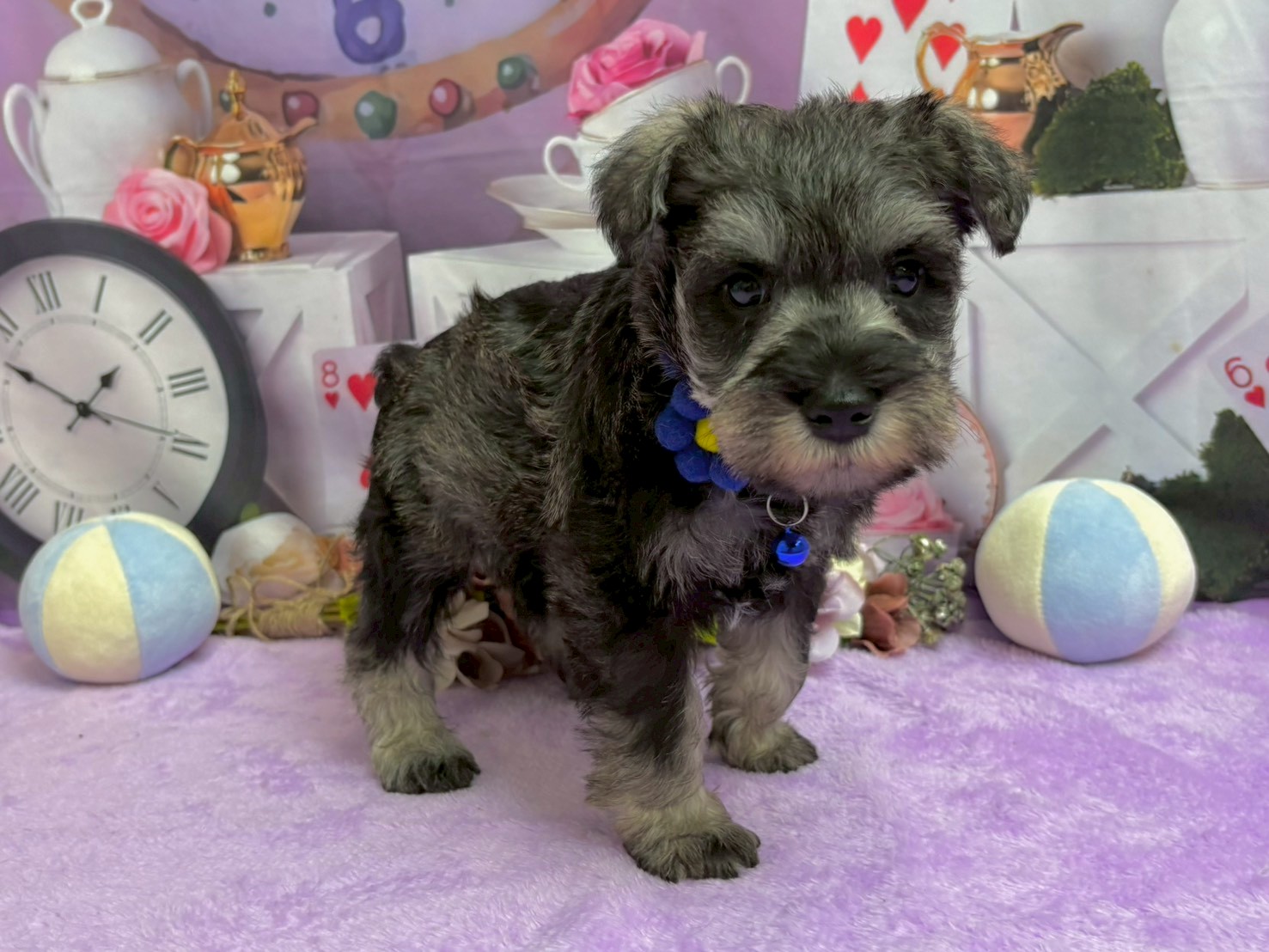 赤ちゃん写真3-2