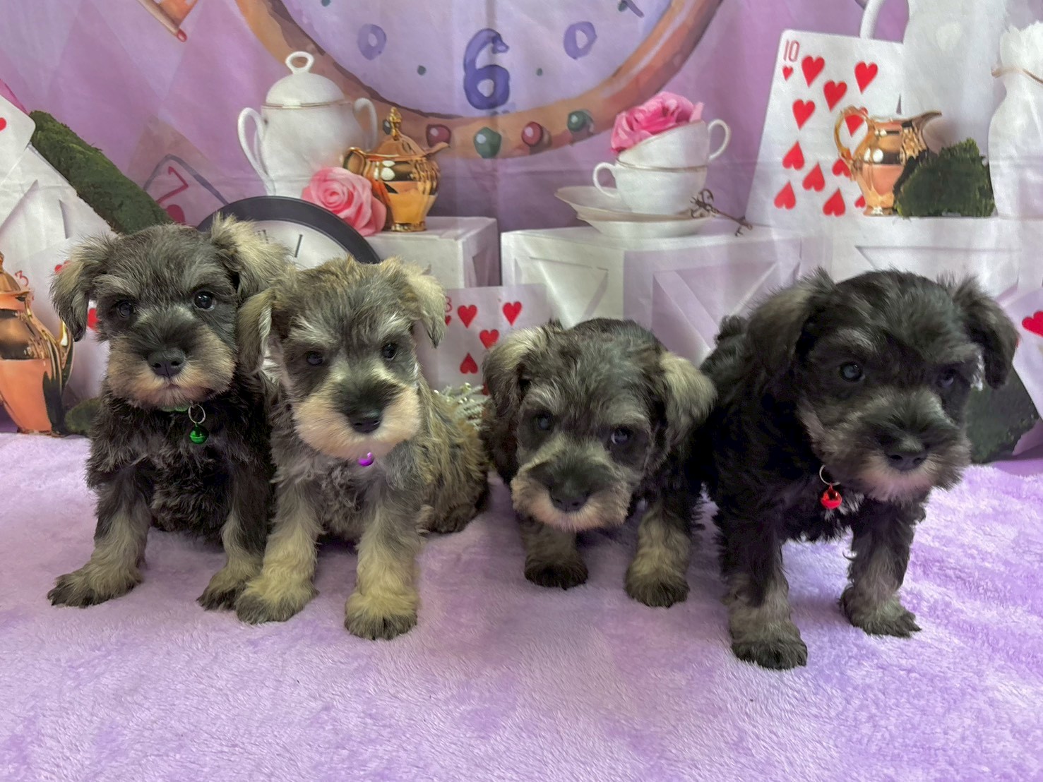 赤ちゃん写真3-3