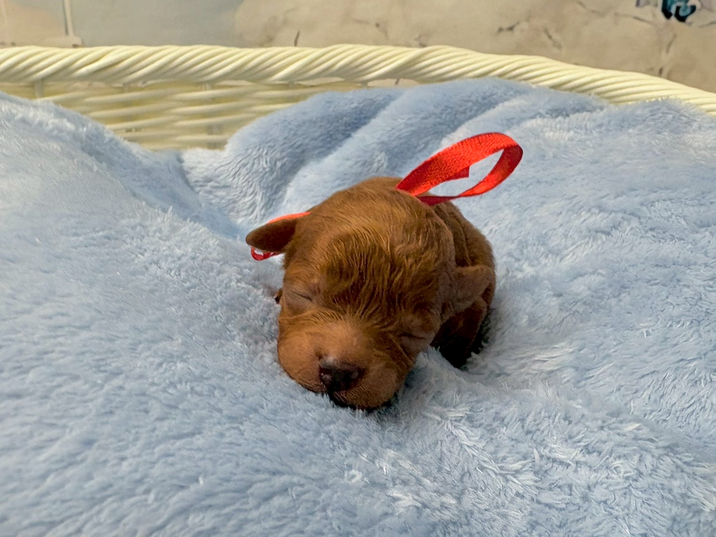 赤ちゃん写真1-1