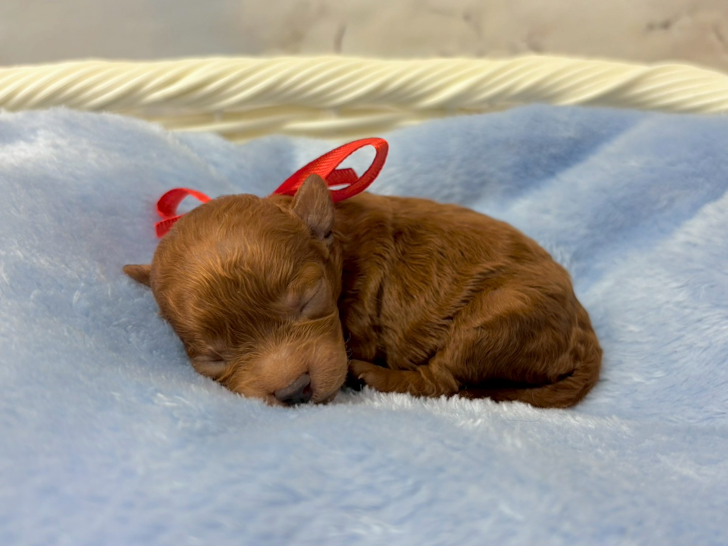 赤ちゃん写真1-2