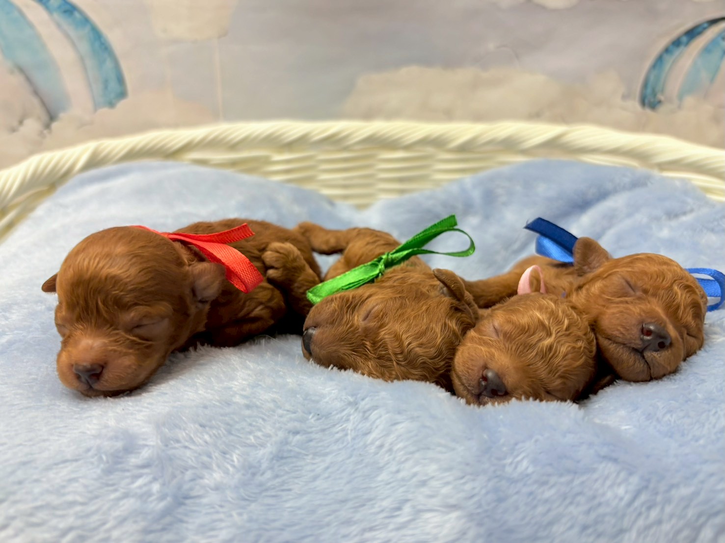 赤ちゃん写真1-3