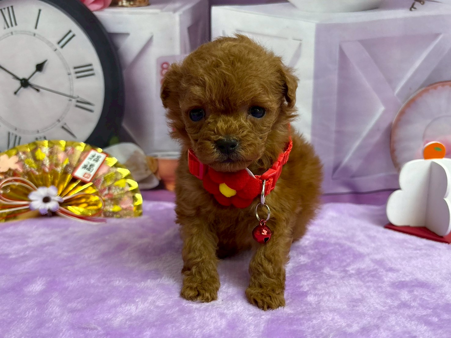 赤ちゃん写真2-1