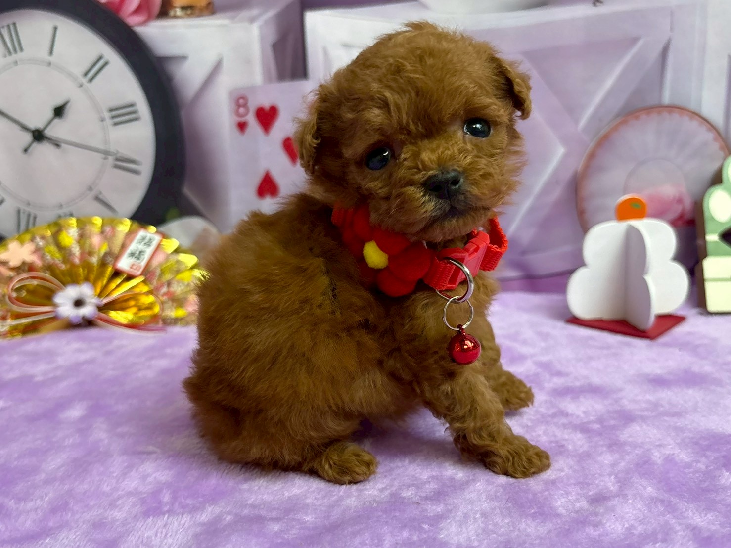 赤ちゃん写真2-2