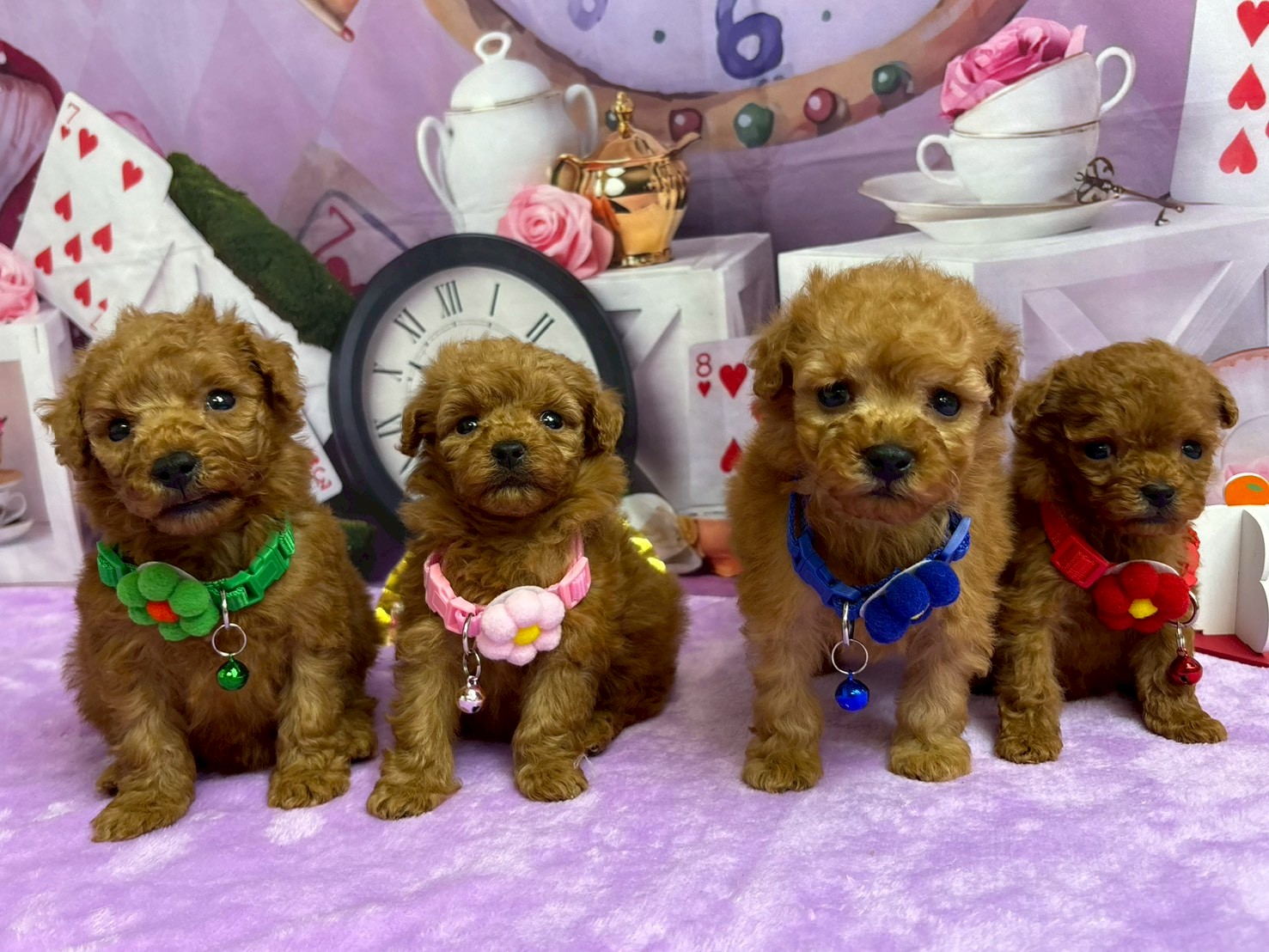 赤ちゃん写真2-3