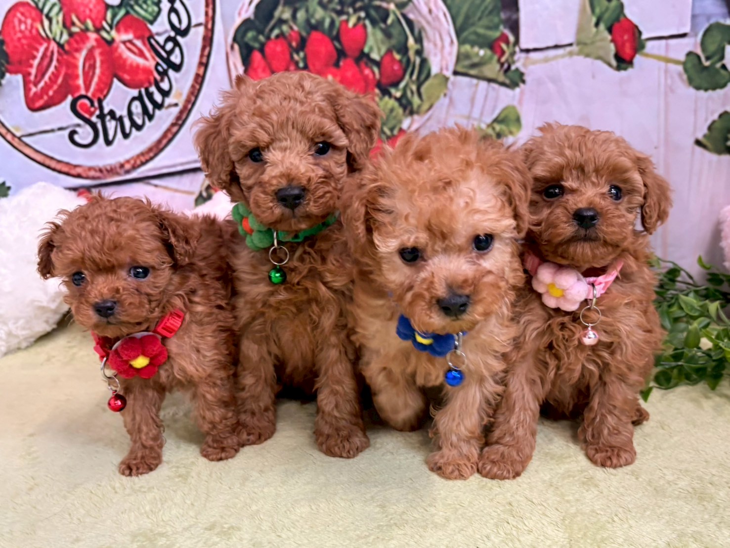 赤ちゃん写真3-3