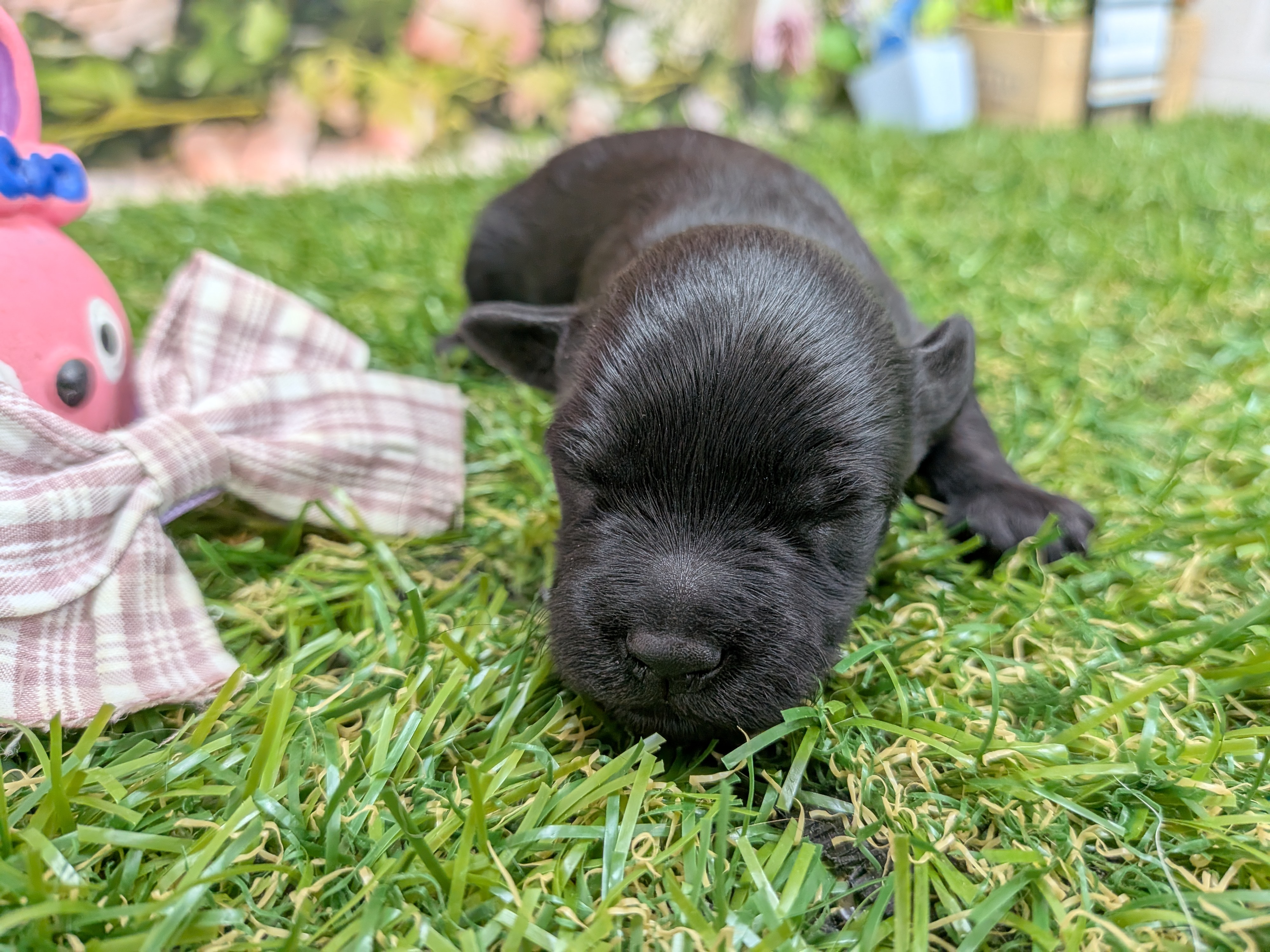 赤ちゃん写真1-1