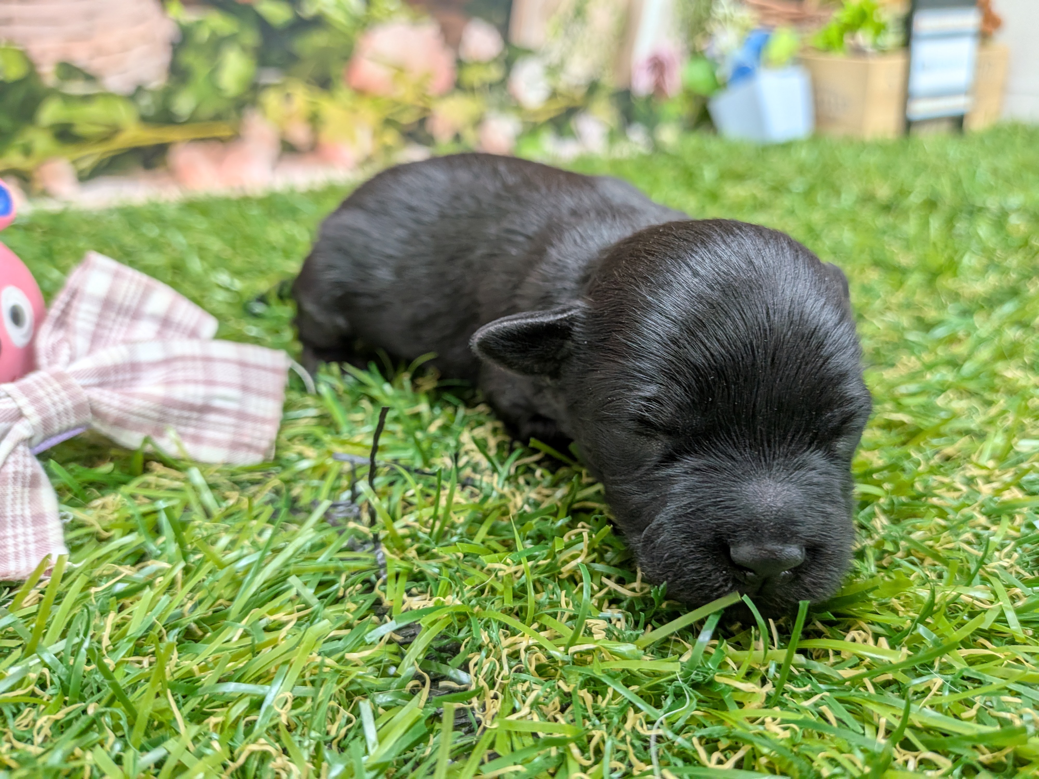 赤ちゃん写真1-2