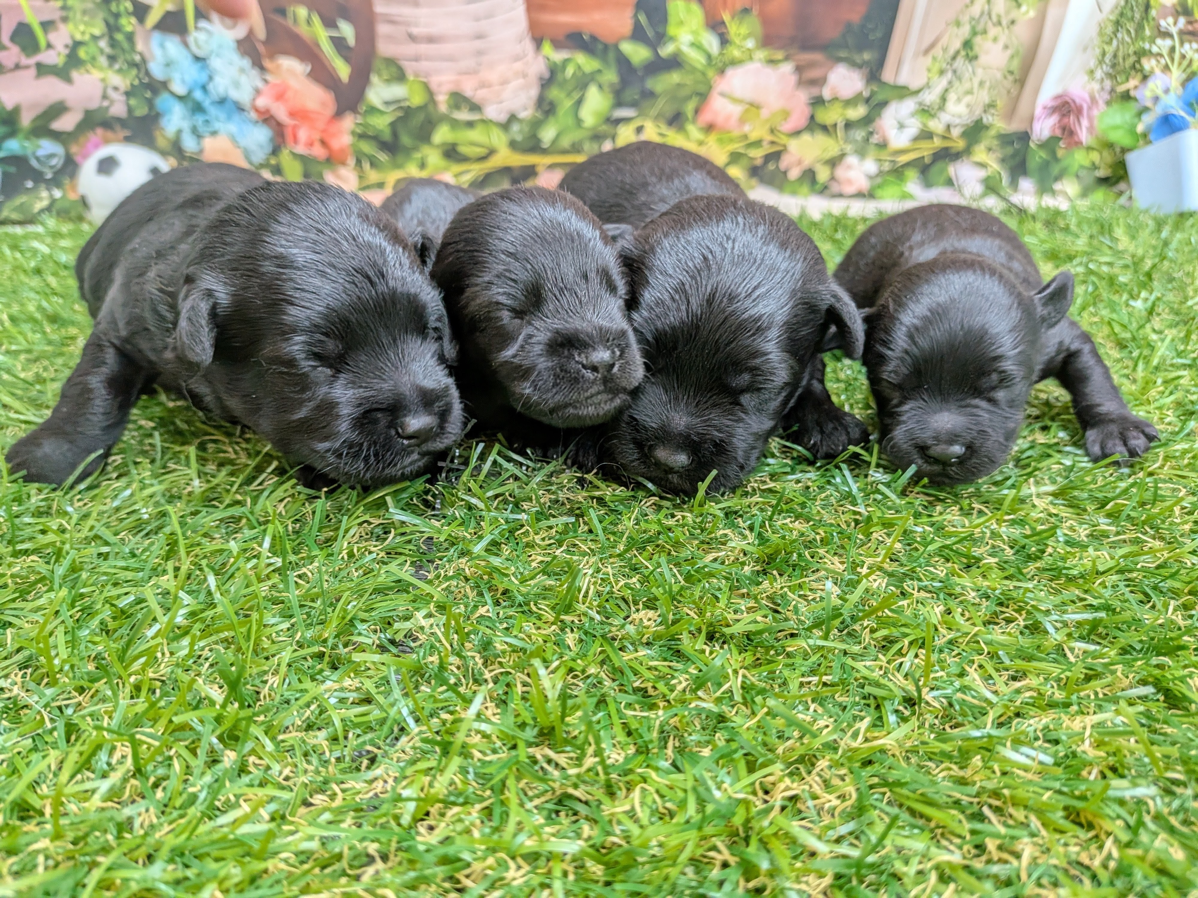 赤ちゃん写真1-3