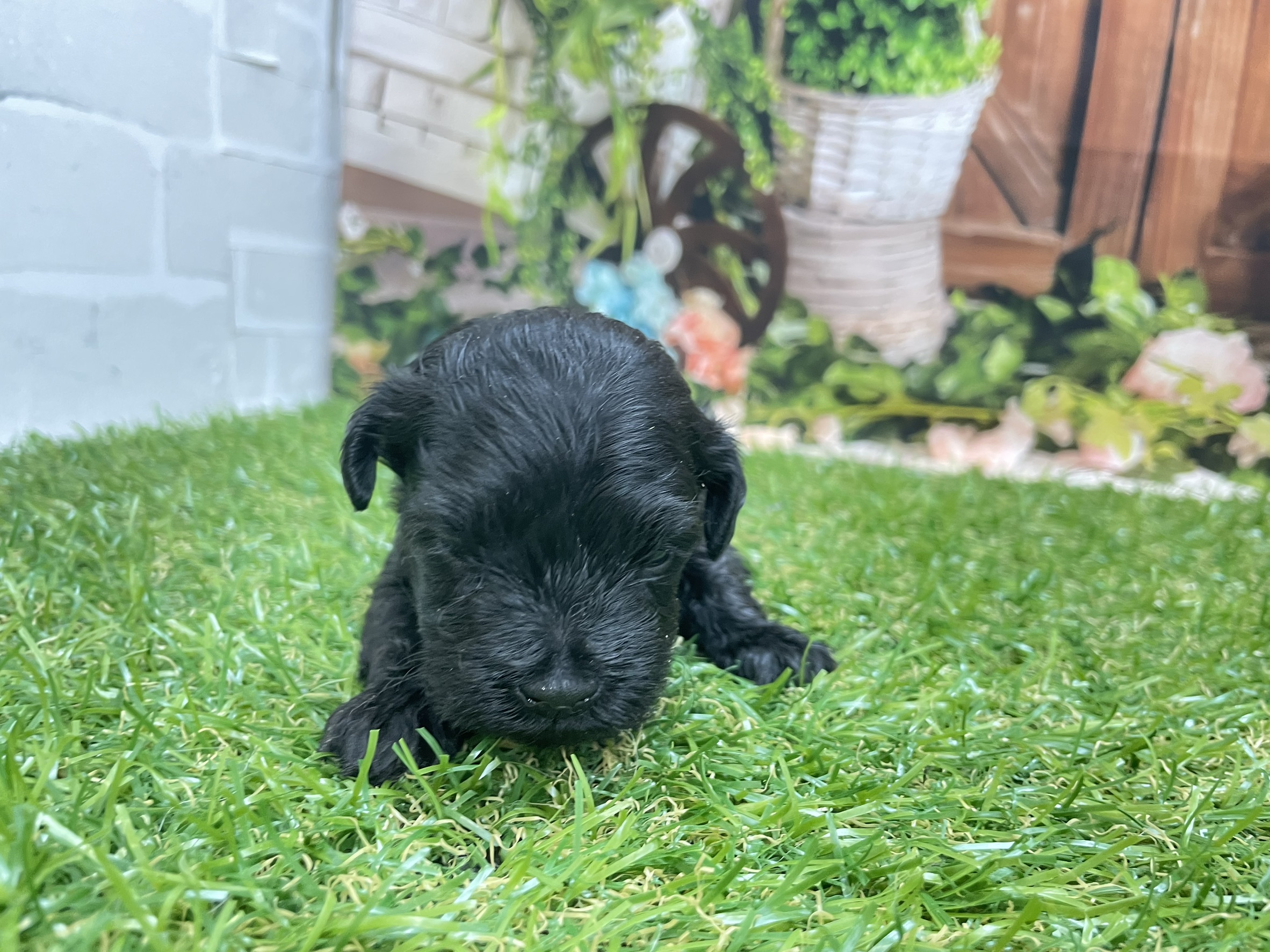 赤ちゃん写真2-1